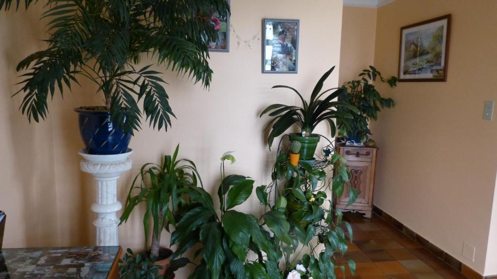 Chambres D'Hotes La Plantade La Barthe-de-Neste Ngoại thất bức ảnh